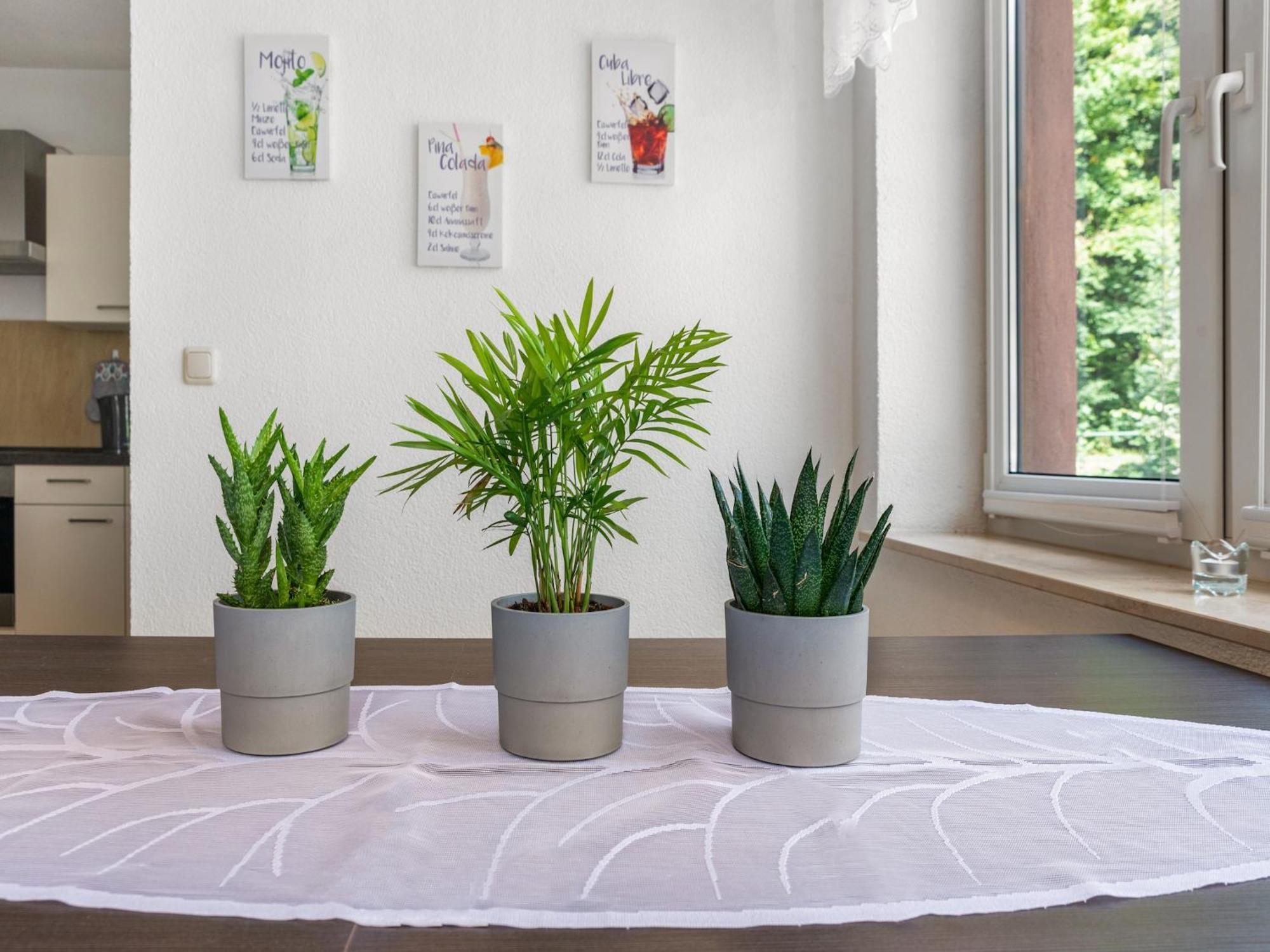 Modern Apartment In Sebnitz With A Terrace In ゼーブニッツ エクステリア 写真