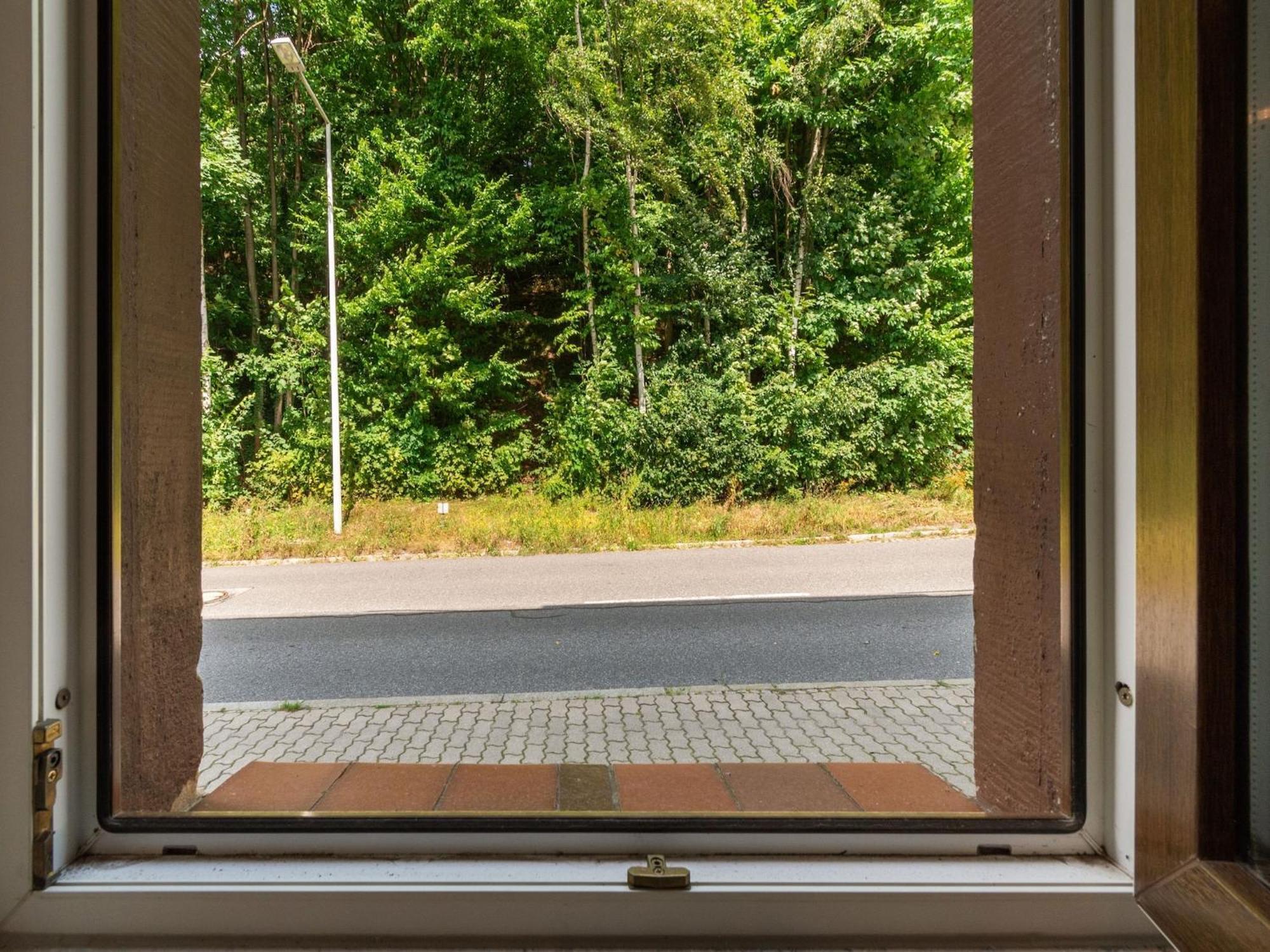 Modern Apartment In Sebnitz With A Terrace In ゼーブニッツ エクステリア 写真